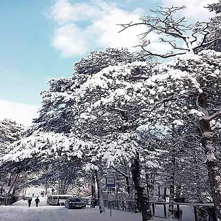 فندق مبيت وإفطار Plac Rybakow سوبوت