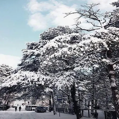 Plac Rybakow 3* Sopot