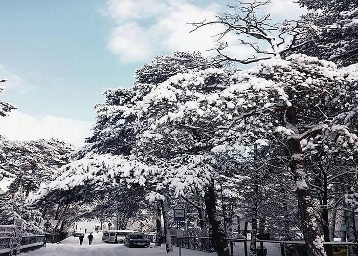 Plac Rybakow 3* Сопот